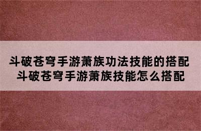 斗破苍穹手游萧族功法技能的搭配 斗破苍穹手游萧族技能怎么搭配